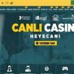 Unveiling the Allure of Casinos: Where Entertainment Meets Fortune